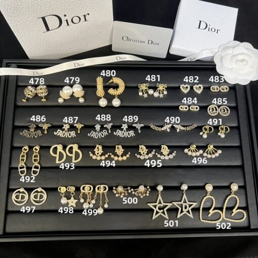 Fashion DIOR Earrings 6