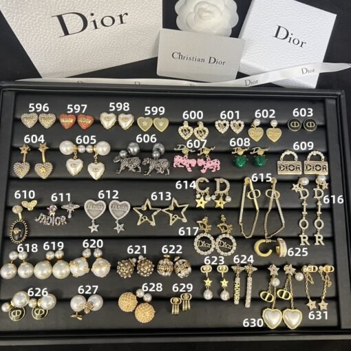 Fashion DIOR Earrings 4