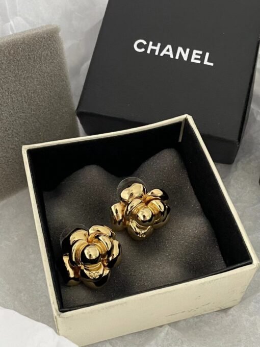 anel medieval earrings