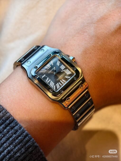 Cartier Sandos men's official website picture - Image 5